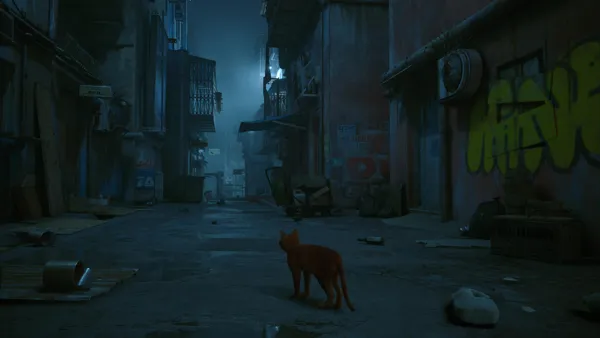 Stray