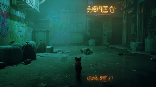 Stray