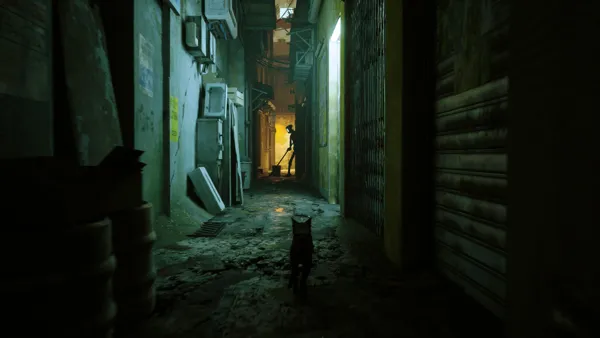 Stray