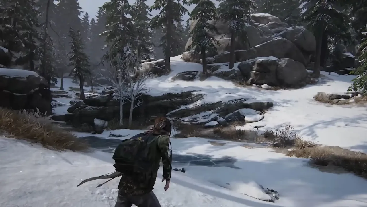 The last of us Remastered