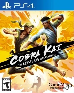 Cobra Kai The Karate Kid Saga Continues