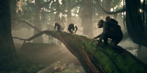 Ancestors The Humankind Odyssey