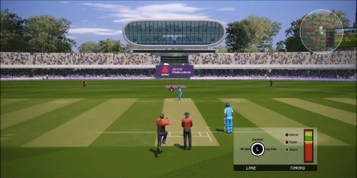 Cricket 19