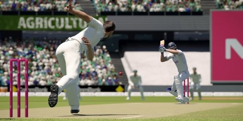 Cricket 24