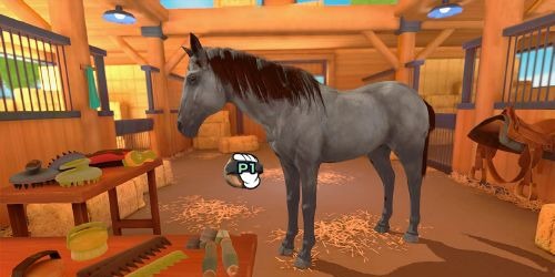 Dein erstes Pferd Die Reitschule