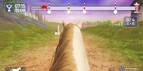 Dein erstes Pferd Die Reitschule