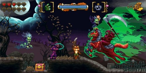 Fox N Forests