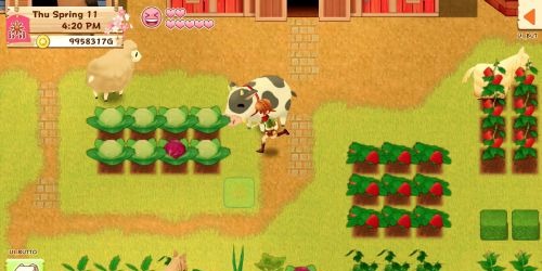 Harvest Moon Light of Hope Special Edition Complete
