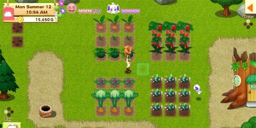 Harvest Moon Light of Hope Special Edition