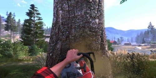 Lumberjacks Dynasty