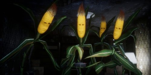 Maize