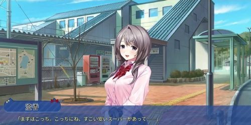 Mikagami Sumika no Seifuku Katsudou