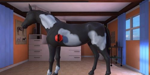 My Riding Stables 2 A New Adventure