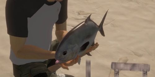 Pro Fishing Simulator