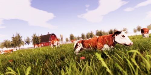 Real Farm Gold Edition