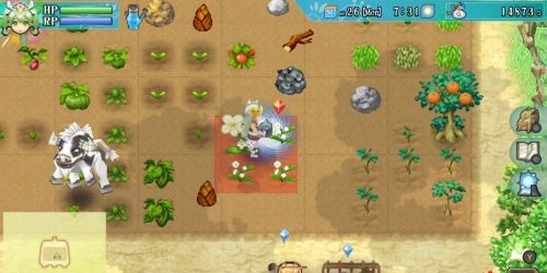 Rune Factory 4 Special