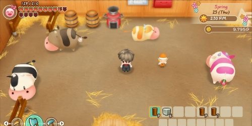 Story of Seasons Friends of Mineral Town