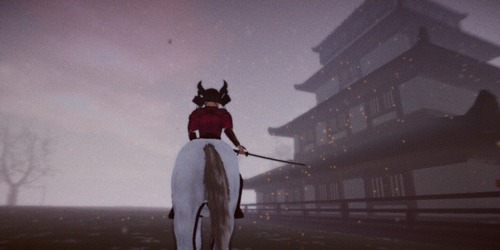 Taishogun The Rise of Emperor