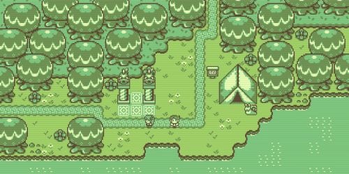 Timothy and The Mysterious Forest
