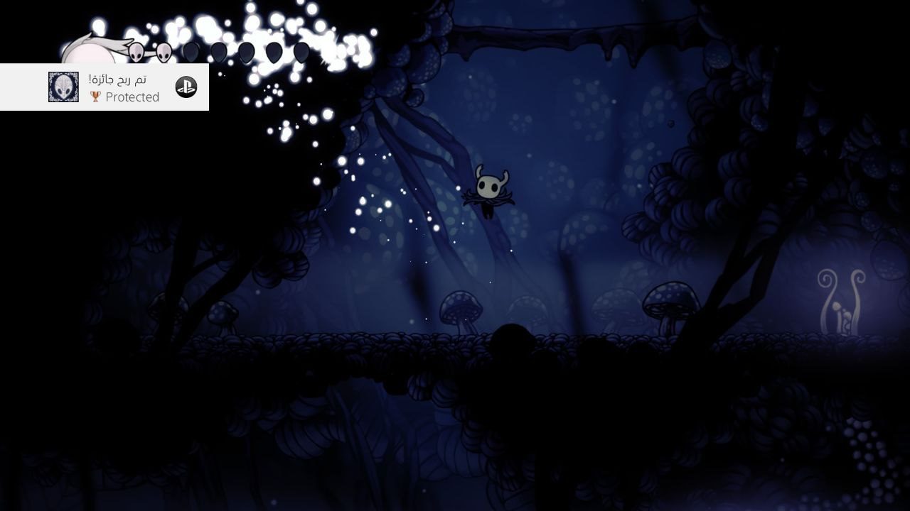 Hollow Knight Voidheart Edition