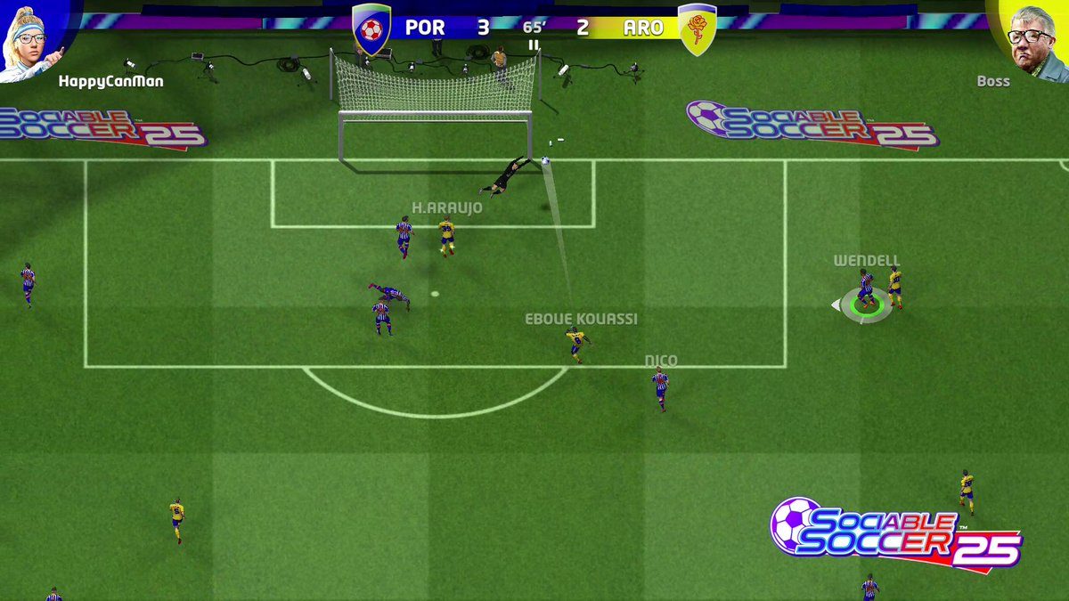 Sociable Soccer 25