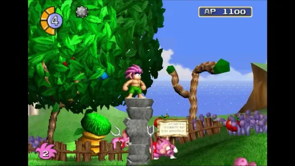 Tombi Special Edition