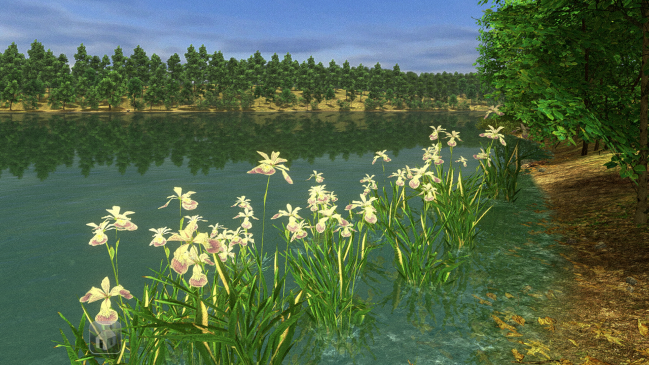 Walden A Game