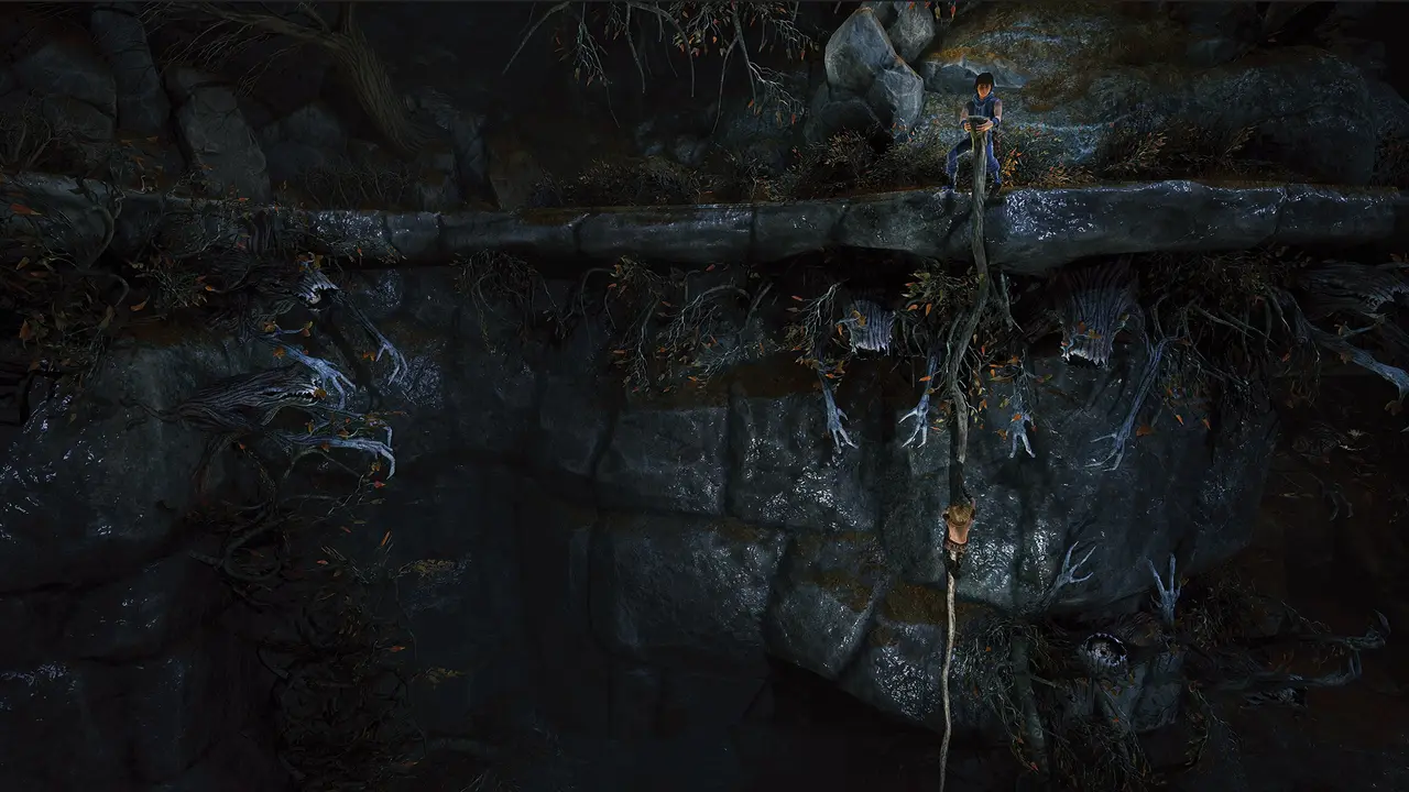 Brothers A Tale of Two Sons Remake