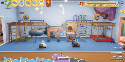 Hamster Playground