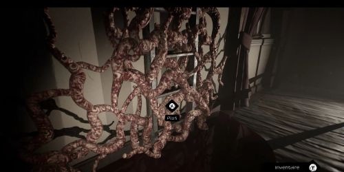 Oxide Room 104