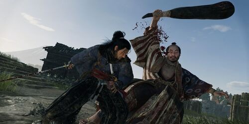 Rise of the Ronin