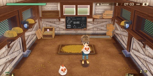 STORY OF SEASONS A Wonderful Life