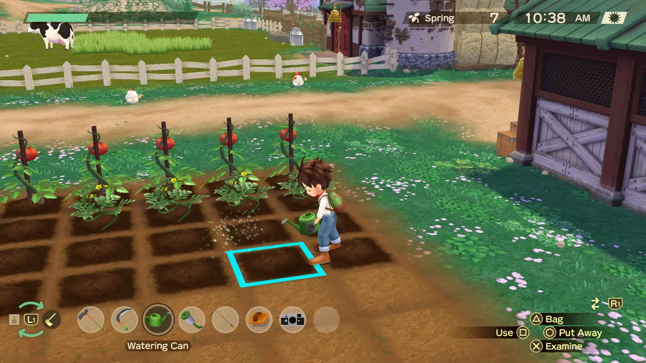 STORY OF SEASONS A Wonderful Life