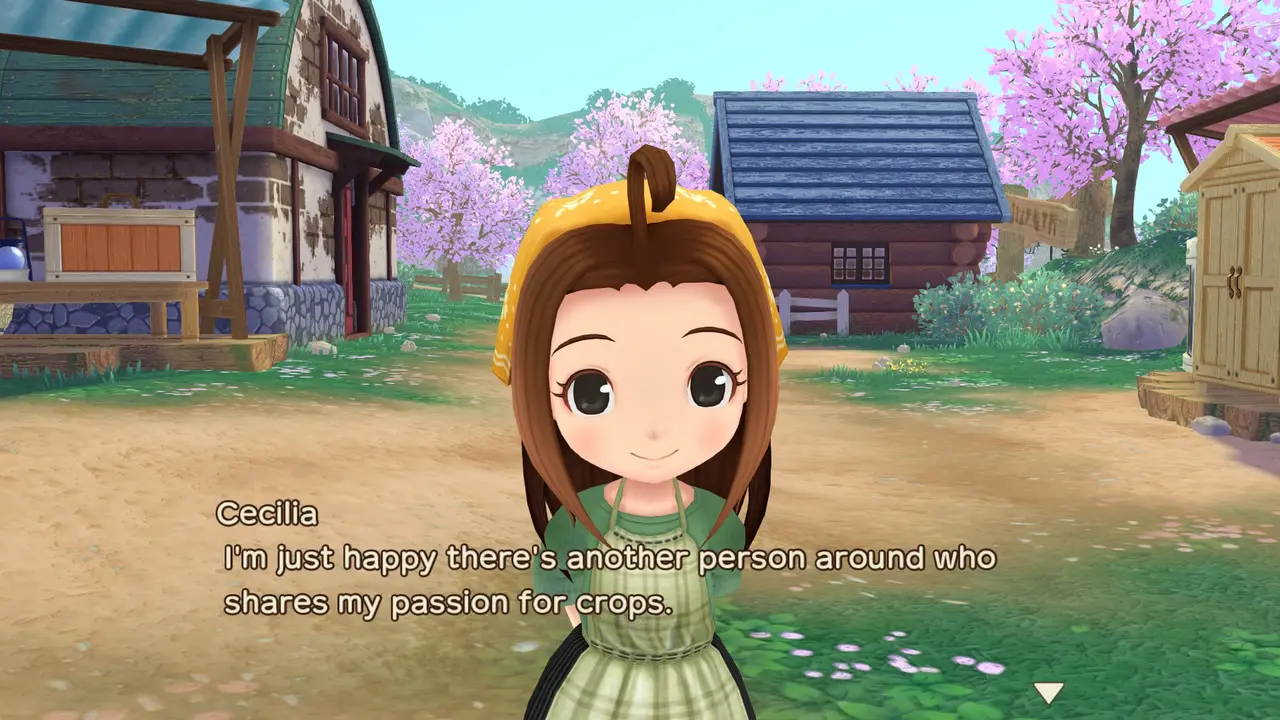 STORY OF SEASONS A Wonderful Life