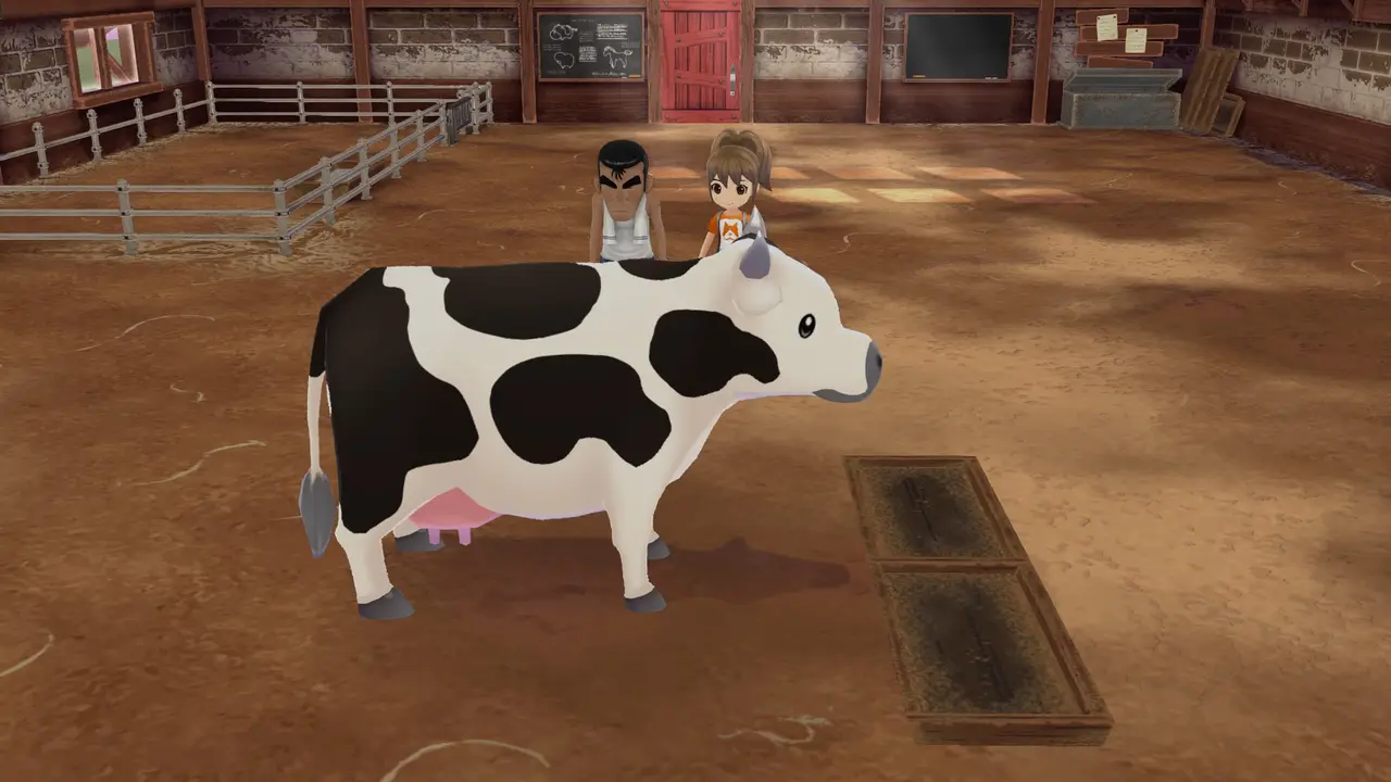STORY OF SEASONS A Wonderful Life