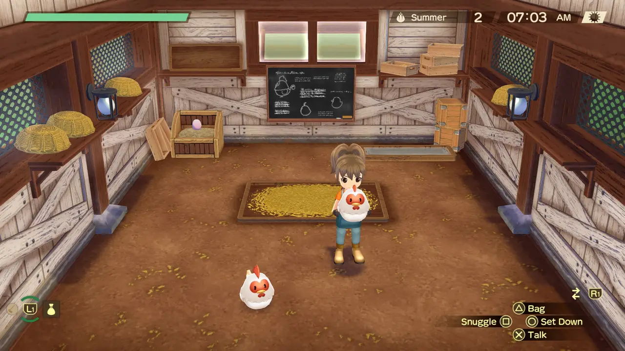 STORY OF SEASONS A Wonderful Life