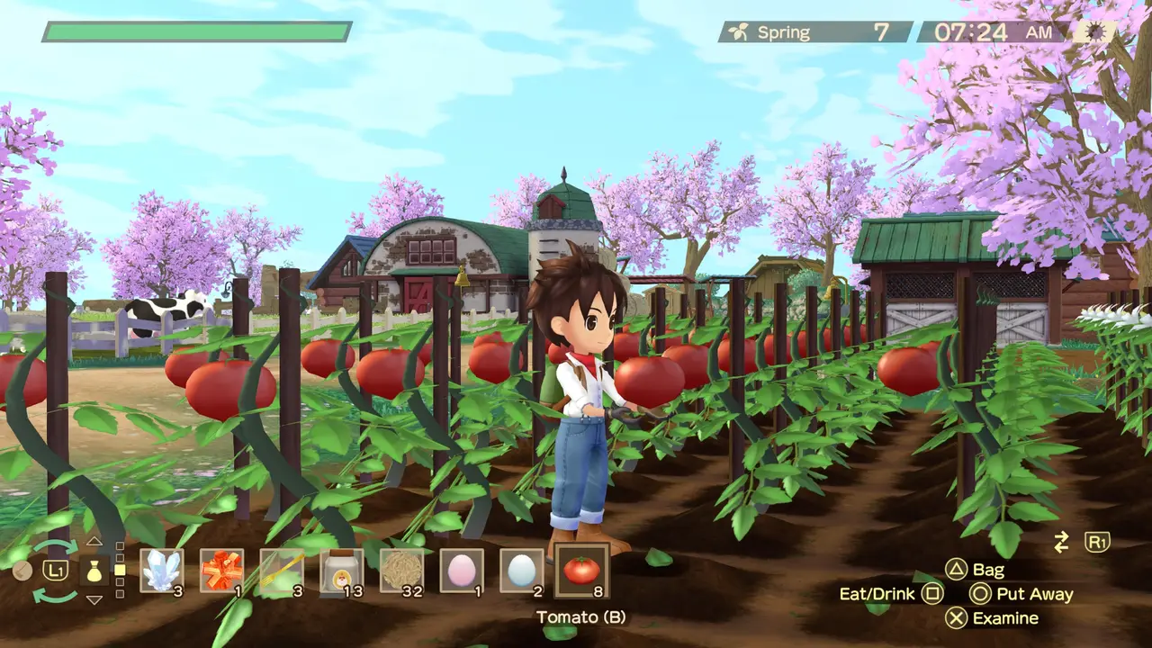 STORY OF SEASONS A Wonderful Life