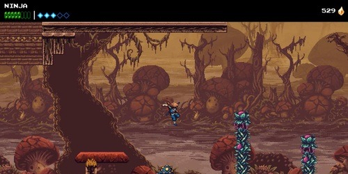 The Messenger
