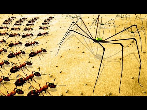 Empire of the Ants