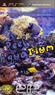 Reef Aquarium