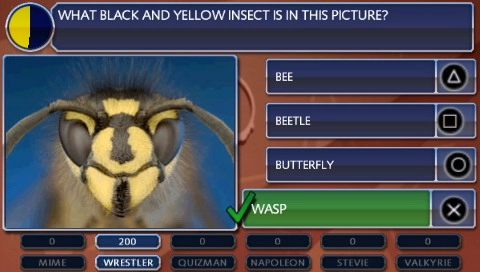 Buzz Brain Bender