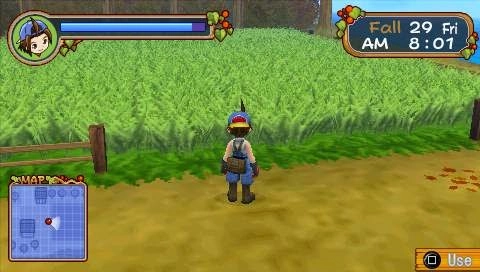Harvest Moon Hero of Leaf Valley