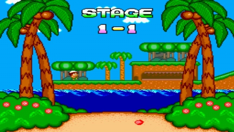 New Adventure Island