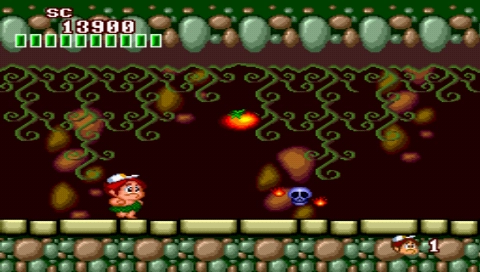 New Adventure Island