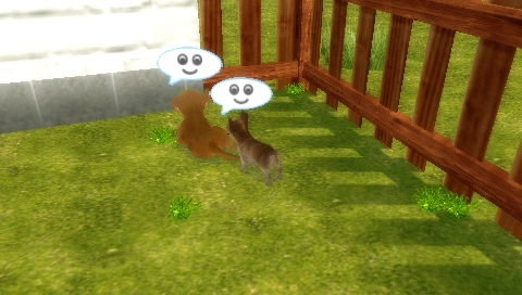 Petz Dogz Family