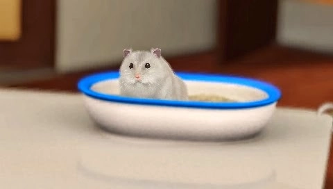 Petz Hamsterz Bunch
