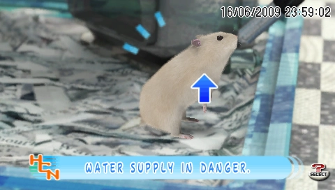 Petz Hamsterz Bunch