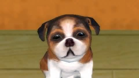 Petz My Puppy Family