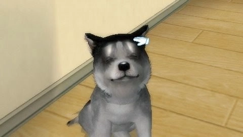 Petz My Puppy Family