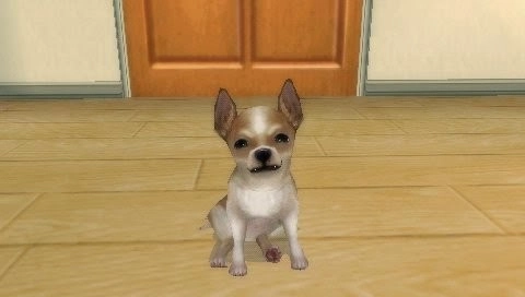 Petz My Puppy Family